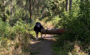 Paul hockt auf einem Waldweg und atmet tief durch.